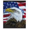 Флаг и орел 5D DIY Алмазная картина Полная круглая алмазная вышивка