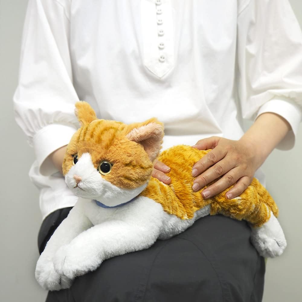 Плюшевая игрушка Sunlemon Hizaneko Chashiro 16x47x18 см Милый Кот Животное P-7802
