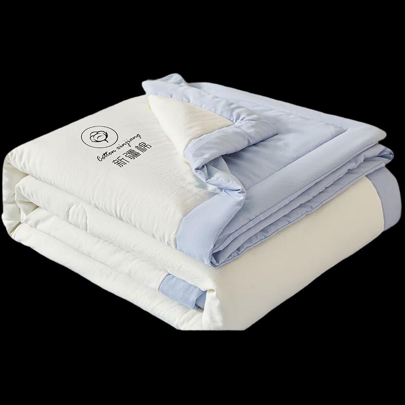 LISM Summer Cooling Quilt