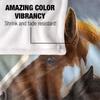 JQ Licensing Silky Foals Supersoft Blanket