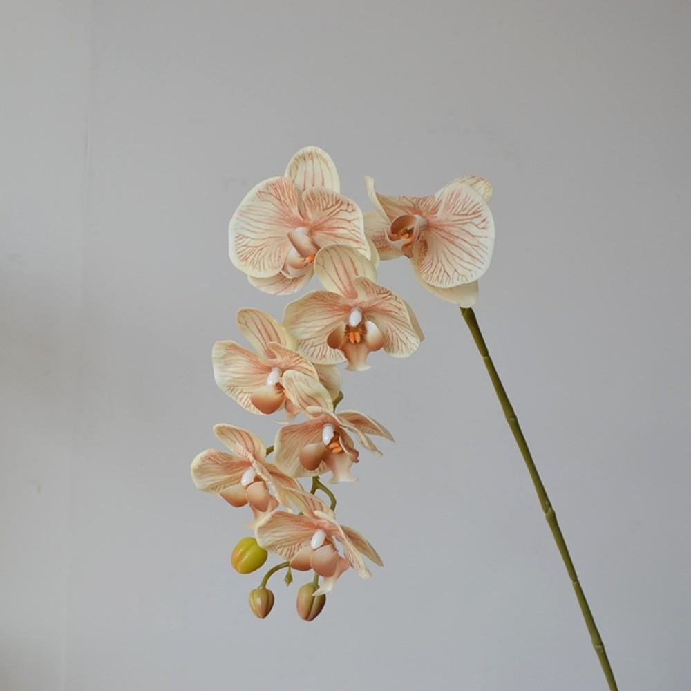 Single Branch Simulation Butterfly Orchid Moth Orchid Plastic Flower Bouquet  Home Decor