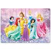 Tenyo Child Puzzle Disney Wonderful Disney Princess 80 Piece Puzzle for Children DC-80-160 Antibacterial Coat Comes with Cleaning Cover Ages 5+