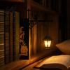 Стиль Винтаж Светильник для Чтения для Книжной Полки Декоративный Свет Библиотечный Фонарь Освещение Для Книголюбов Светодиодный Книжный Матовый Черный Железный Держатель Угловая Лампа Украшение