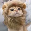 Полиэстер Портативный и Удобный Парик Львиная Грива Для Кошек На Ходу Веселье Удобный И Портативный