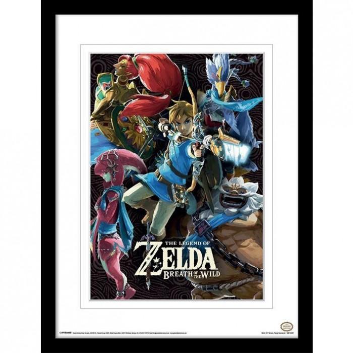 The Legend Of Zelda: Breath Of The Wild Champions Print