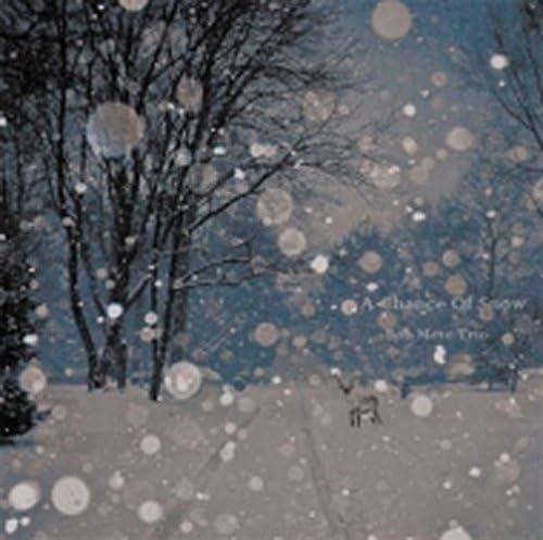 CD BOB METE TRIO - Chance Of Snow REDD001 Не Япония Джаз Б/у