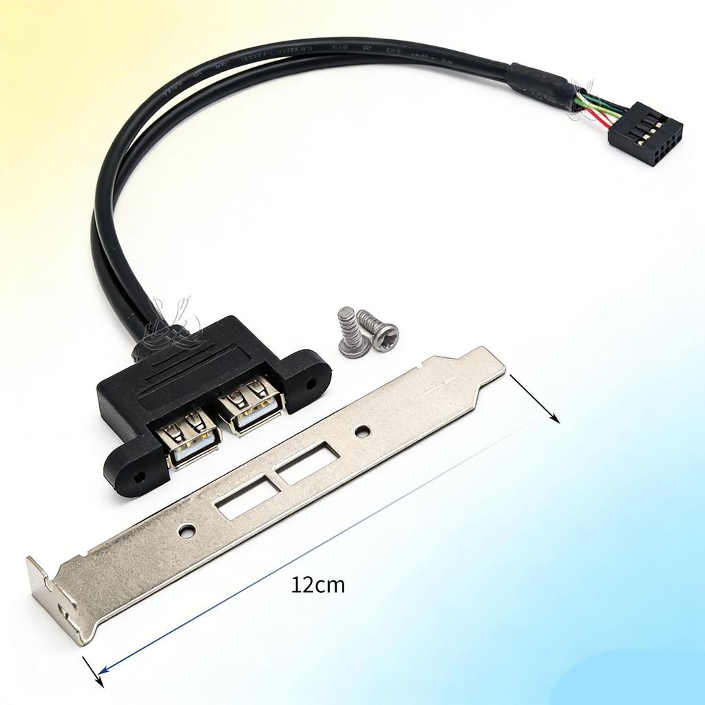 USB 9-Pin to Dual USB 2.0 Female Port Expansion Cable