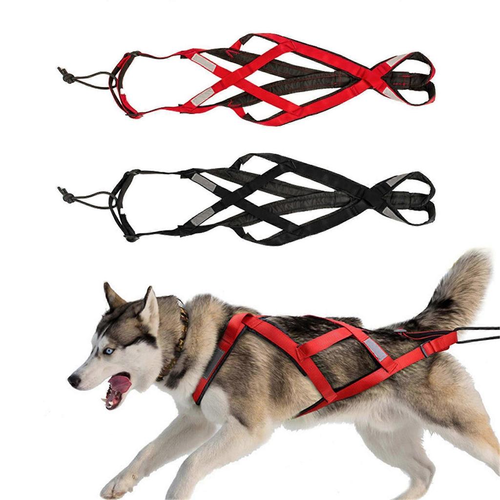 High Strength Dog Harness for Large Breeds Adjustable Reflective Pet Chest Strap for Running Biking Skiing Adventures Red M