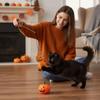 3Pcs Halloween Style Halloween Cat Wand Toy Funny Cat Toy Pole Halloween Cat Toys  Pet Supplies