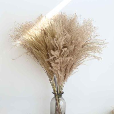 Yunnan Real Dried Flower Bundle - 30 Stems, Natural Color, Soft Home Decoration & DIY Material