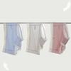 5Pcs Women's Seamless Nylon Panties Low Rise Sexy Underwear Solid Ice Silk Lingerie
