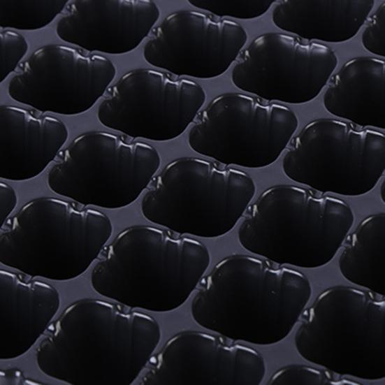 5Pcs Succulent Tray Breathable Long Lasting Portable Plants Germination Tray for Succulent