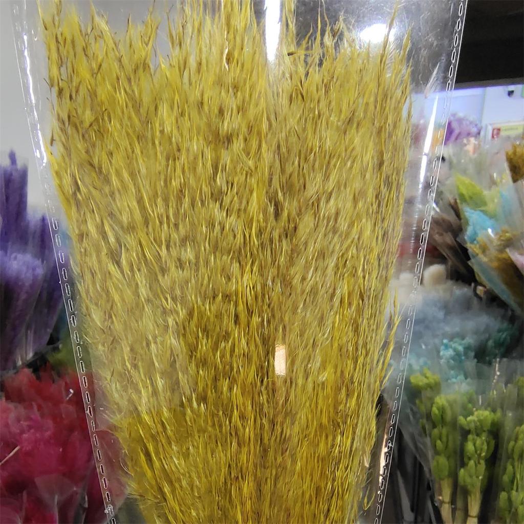 Cattail Dried Flower Bouquet - Preserved Flowers for Home Decor