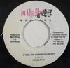 7inch Record LUTAN FYAH - It Red, The Gideon No Pretty / The  NONE In The Streetz  Jamaica Reggae, Ska & Dub Used