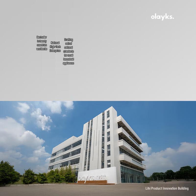 olayks Домашняя автоматическая соковыжималка холодного отжима OLK-LJ01