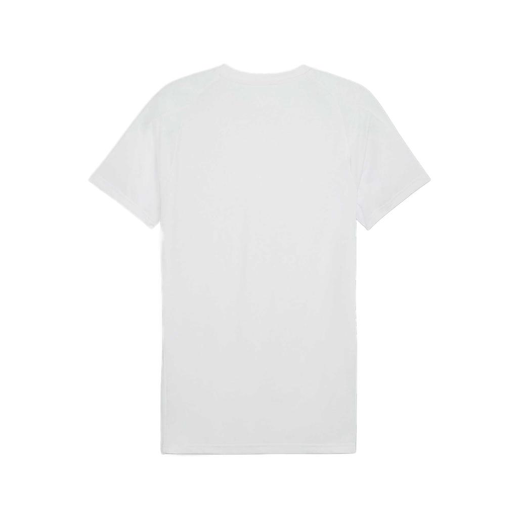 New PUMA T Shirts Men's White 690664-42