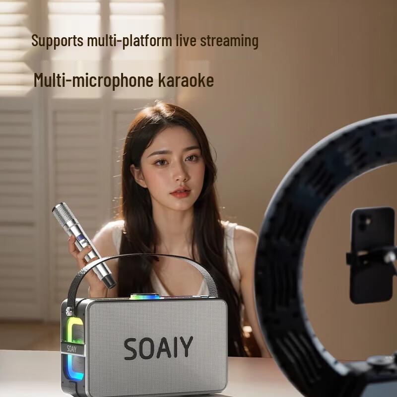 Suoai K55 Portable High-Power Karaoke Speaker
