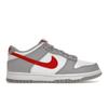 Dunk Low GS Серо-красные детские кроссовки Белые DV7149-001