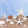 Simulation Starfish Design Mediterranean Style Fish Decoration Decoration Ornament Tank Home Ec E4M3