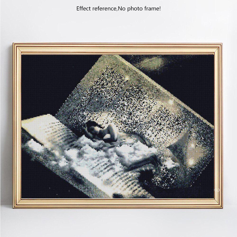 Diamond Embroidery Girls Needlework Diamond Painting Full Display Pictures Of Rhinestones