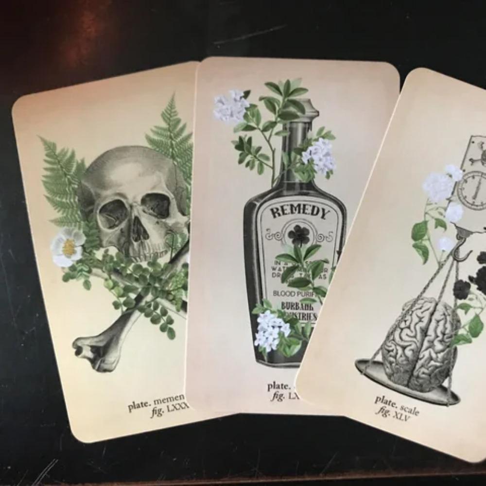 Колода Оракула Memento Mori 10,3*6 см Колода Ленорман Анатомическое Таро Оракул Странностей 85 шт. Карт (включает 36 карт Ленорман)