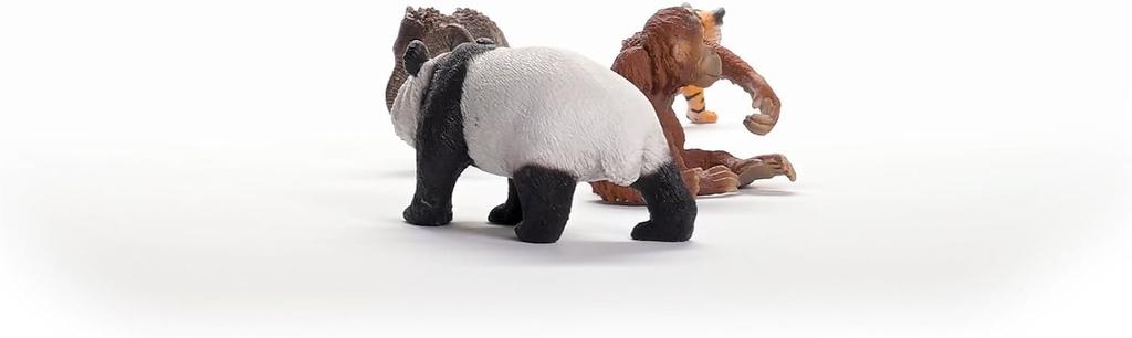 Schleich Wildlife Asian Wildlife Set 42736