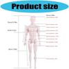 1/6inch Male Doll Blank Body Nude Mannequin Doll For Craft Customization And Replacement Model for Ball Joint Doll
