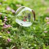 1 Pair Decorative Bulb Unique Glass Shape Time Saver Watering Dog Pattern Plant