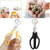 Quail Egg Scissors Opener Cutter Stainless Steel Tool