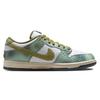 Nike Alexis Sablone x Dunk SB Low CHAMELEON Повседневные шорты-бордшорты мужские HJ3386-300