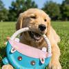 Bite-Resistant Interactive Dog Toy Durable Puppy Chew Toy Pet Teeth Cleaning Toy  Outdoor Game