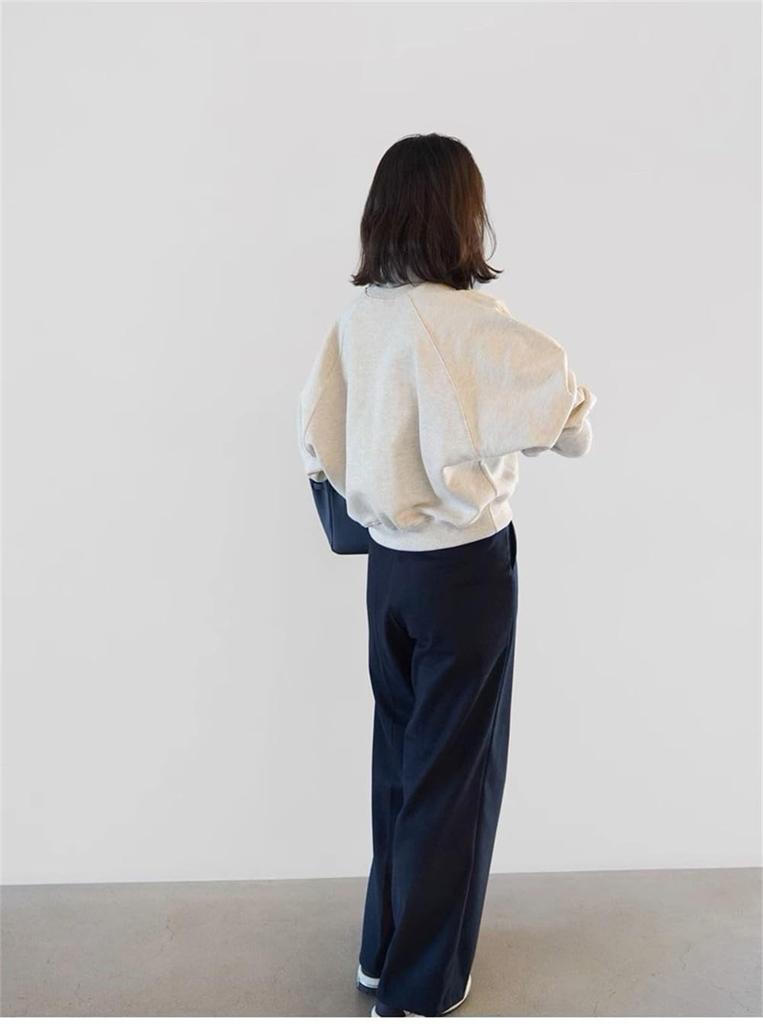 Large Body Loose Everyday Autumn [Vasarhely] Women's Tops, Sweatshirts, Sizes, Plain, Casual, Covering, Fit, Cute, Thin, Cotton, Wear, Spring, (JP,