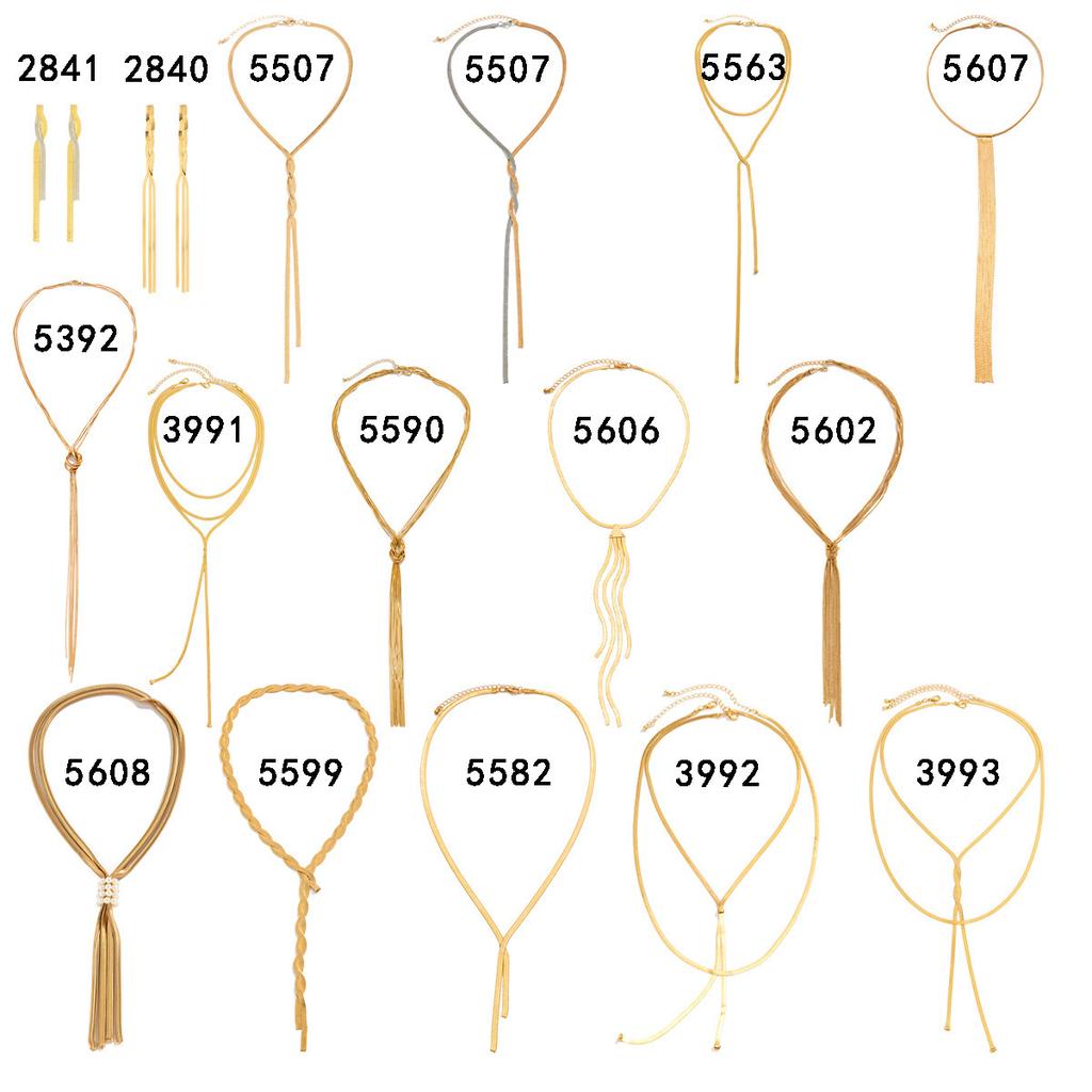 Hip-hop Metal Wind Snake Bone Chain Necklace, Trendy Geometric Long Woven Collarbone Necklace