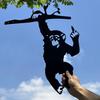 Yousheng Middle Finger Monkey Decoration Metal Flip-off Monkey Ornament Garden Monkey Decoration for Tree Yard Fence Decor