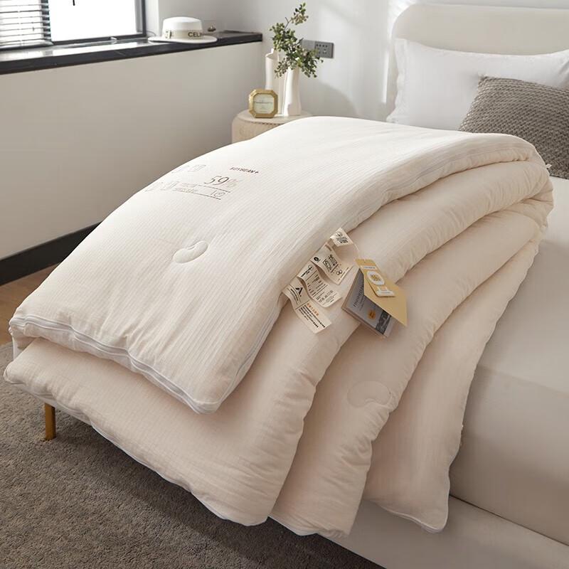 HodoHome Class A Soybean Fiber All-Season Duo Quilt