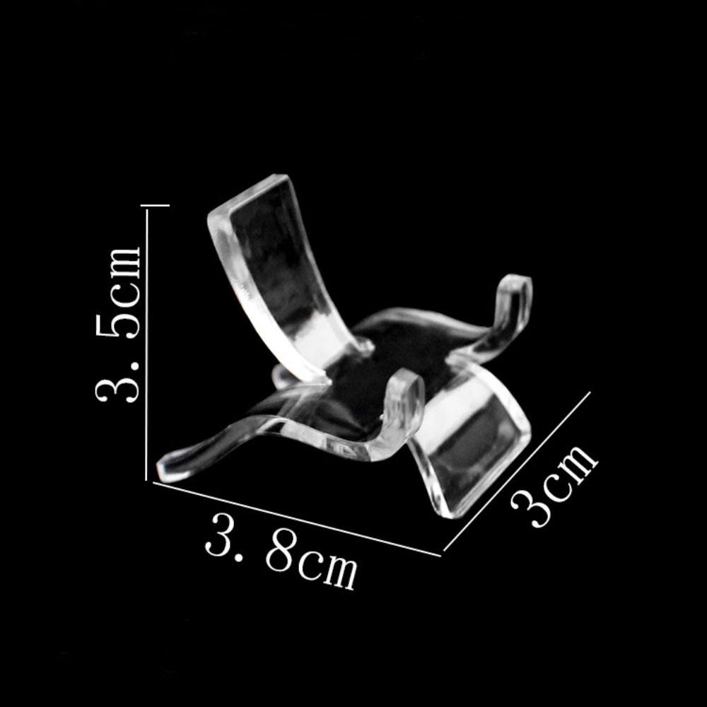 Fossils Minerals Rocks Display Rack Acrylic Shown Holder New Photography Props