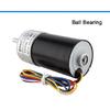 DC 12V 24V CHR-GM37-BLDC3650 37mm Motor Brushless High Torque Gearbox Long Life Silent BLDC Electric Gear motor