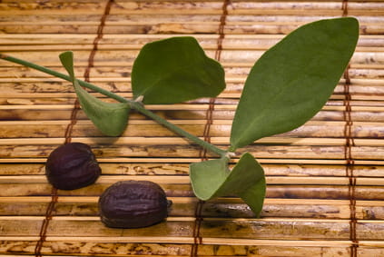 Jojoba Oil Cold Pressed, Unrefined 250