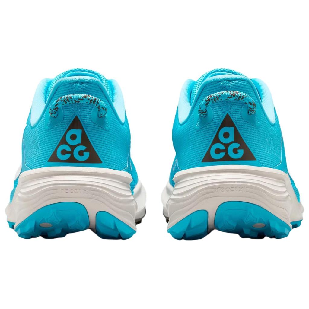 Nike ACG Pegasus Trail Baltic Blue Summit White Мужские кроссовки Light-Orewood-Brown Ironstone HV8116-400