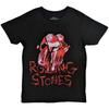 The Rolling Stones - Hackney Diamonds Расколотое Стекло Язык (Футболка)