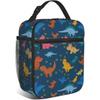 Cartoon Dinosaur Lunch Box Kids Boys Girls Insulated Cooler Thermal Cute Lunch Bag Tote for School