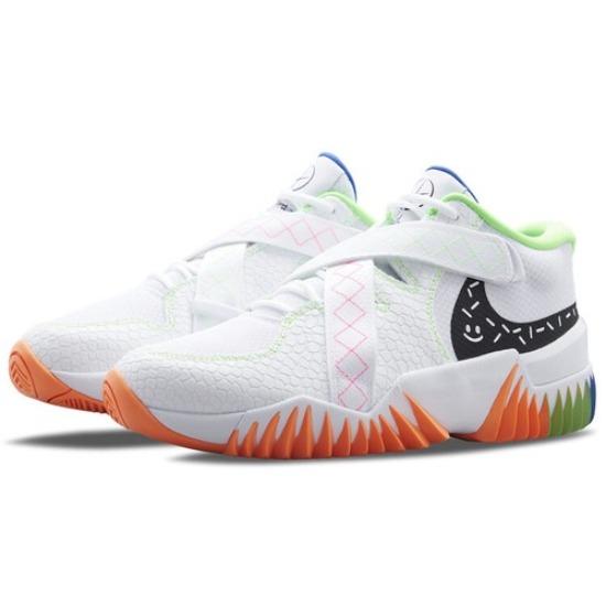 Nike Zoom Court Dragon Low Белый Мультиколор - DV8166-101