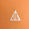 Nike ACG LogoT Men's DJ3642-885