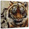 Canvas Print Tiger Africa Animals