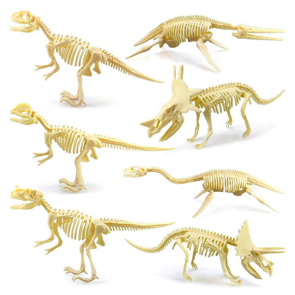 Fossil Dinosaur Skeleton Model With Plastic Material For Kids Decor Educational
