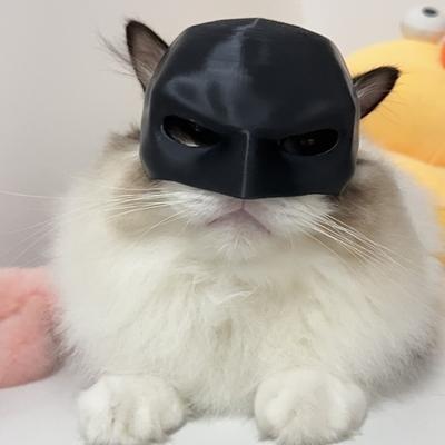 Кошачья маска летучей мыши, маска летучей мыши на пол-лица, маска героя-летучей мыши для косплея, маска кошки-супергероя с отверстиями для ушей для костюмированных вечеринок на Хэллоуин, реквизит для фотосессии с домашним животным