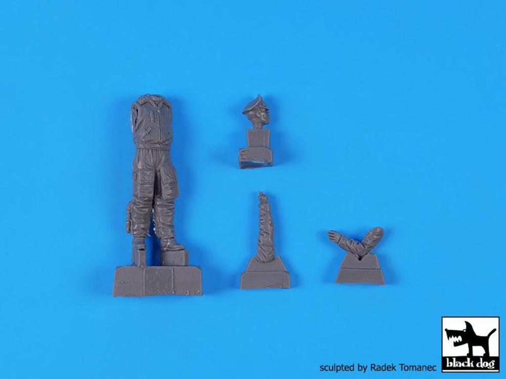 Black Dog Немецкий летчик-истребитель смоляной набор HAUF32170 1/32 WW. (человек)