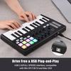 WORLDE Panda MINI II Портативный 25-клавишный USB MIDI-контроллер с 8 RGB-подсветкой пэдов и 4 назначаемыми регуляторами