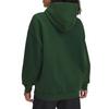 Under Armour Icon FW24 Sweatshirt Women's Forest Green 1386485-301