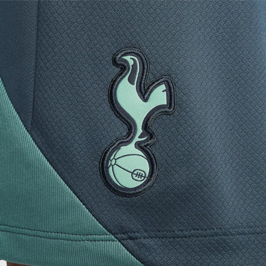 Nike Мужские спортивные штаны для футбола Dri Fit Цвет: Faded Spruce/Bicoastal Color/Enamel Green FQ2426-359